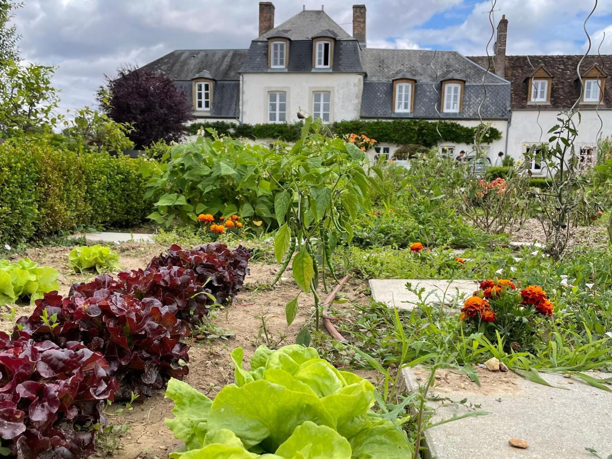 **Suite Familiale Spacieuse Au Coeur De La Foret De Montargis** - Fr-1-590-335 Paucourt Exteriér fotografie